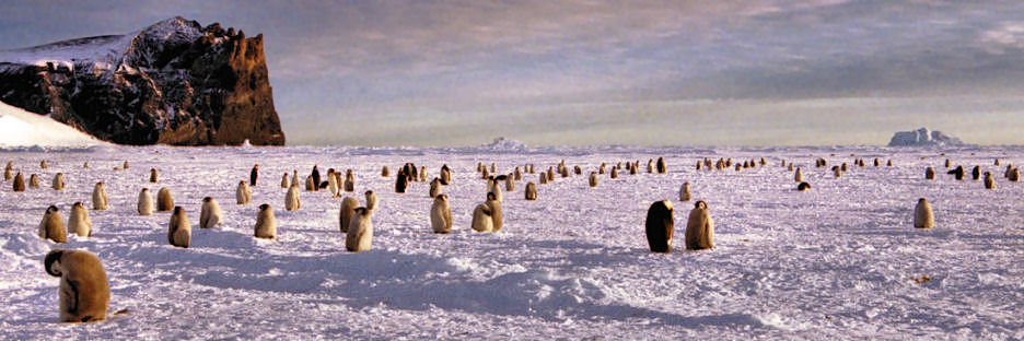 Antarctic_CapeWashington13_4100.jpg