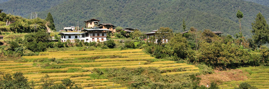 Bhutan_ThToPun_OnTheRoad_8308.jpg