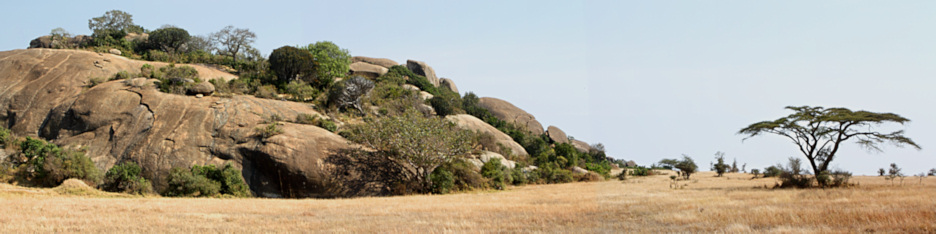 Tanzania_Serengeti_2_Landscape_P3_1804_06_Panorama_8_4x1.jpg