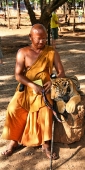 Thailand_TigerTemple_9716