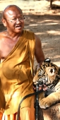 Thailand_TigerTemple_9717