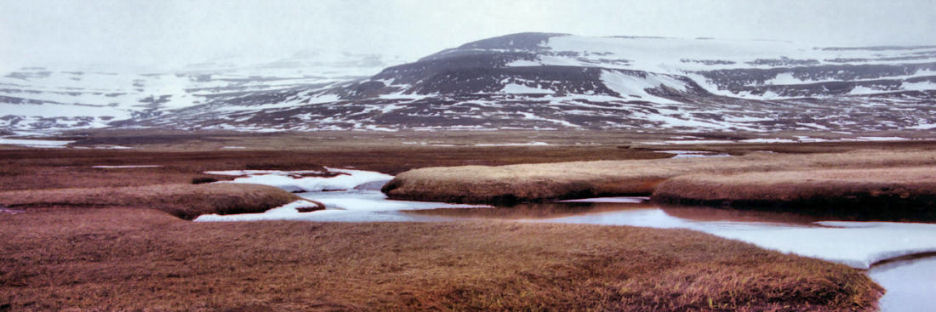 Iceland_AdalvikWaterCourseThroughTundra_4300.jpg