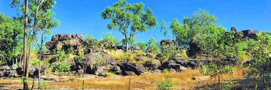 KakaduNearNourlangieRock_P1_10000.jpg