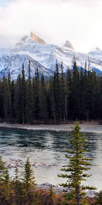 Jasper0835_V.jpg