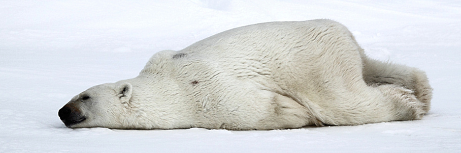Manitoba_Churchill_Polar_Day3b_1869.jpg