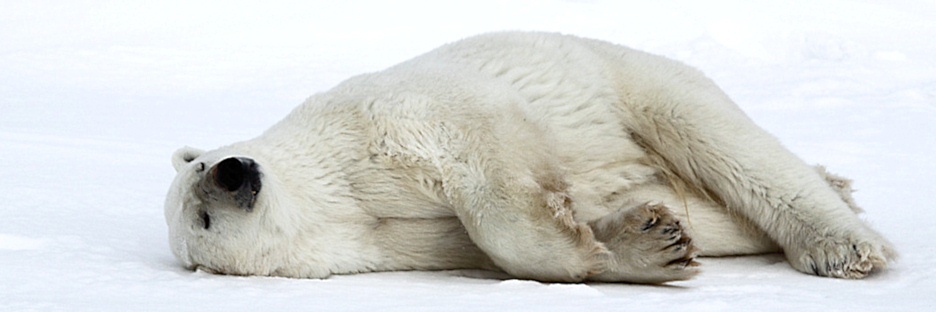 Manitoba_Churchill_Polar_Day3b_1870.jpg