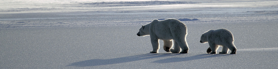 Manitoba_Churchill_Polar_Day3_1983.jpg
