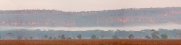 LakeNakuru_FoggyMorning_P5_Panorama_15_4x1