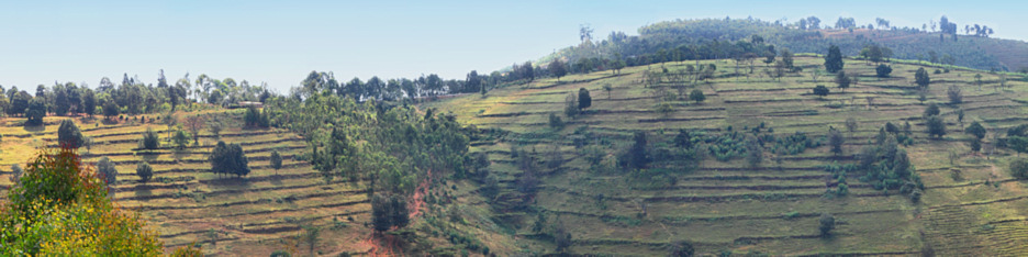 Rwanda_N_Terraces_P3_6067_69_Panorama_12_4x1.jpg