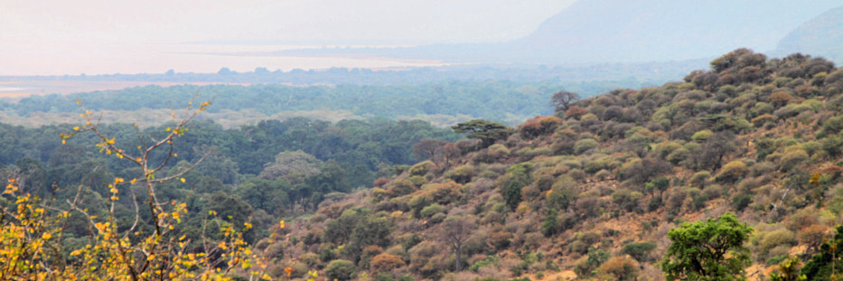 LakeManyara_Plus4693.jpg