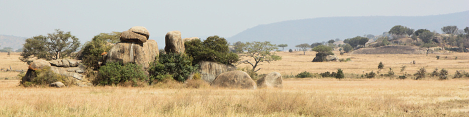 Landscape_P4_1829_4x1.jpg