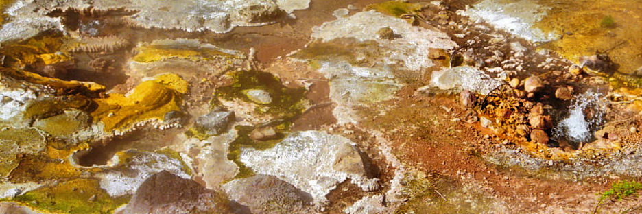 Rotorua25WaimanguVolcanicValley_g.jpg