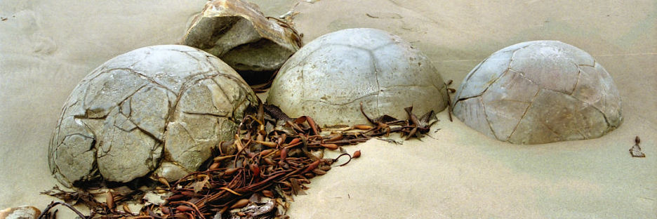 MoerakiBoulders3_g.jpg