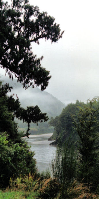 BullerGorge4_g.jpg