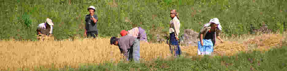 Bhutan_ThToPun_OnTheRoad_8326.jpg