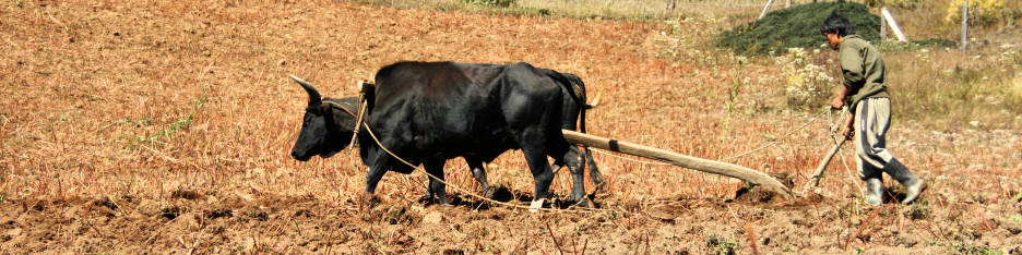 Bhutan_ToUraValley_8939.jpg