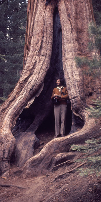 California_35_SequoiaPark_TakingShelter.jpg