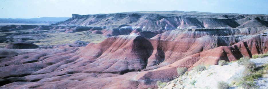 Arizona_43_PaintedDesert.jpg